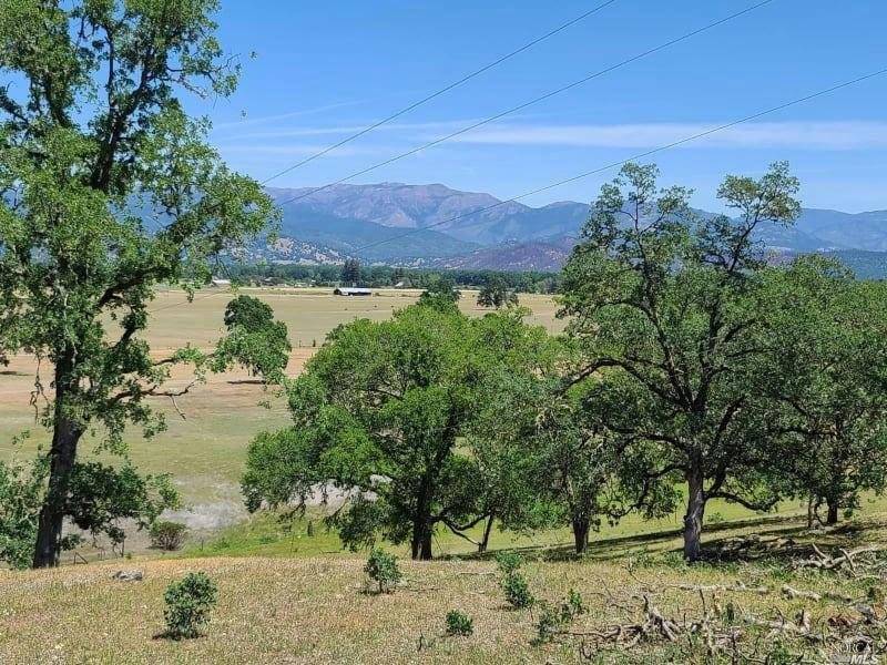 23100 POONKINNEY RD, COVELO, CA 95428, photo 1 of 19