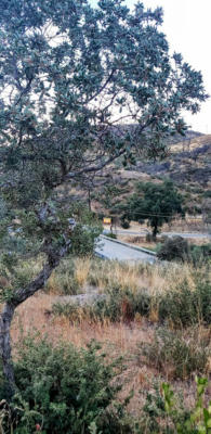 2163 STAGECOACH CANYON RD, POPE VALLEY, CA 94567 - Image 1